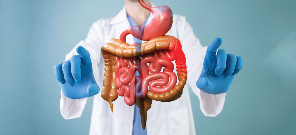 Gastroenterology